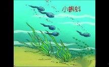 国产小蝌蚪在线观看视频,在线观看，畅享青春喜剧盛宴