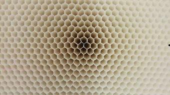 蜂窝国产在线观看,在线观看，尽享国产影视盛宴