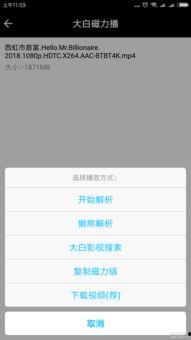 在线看片你懂的精品国产,独家解读热门影视背后的故事