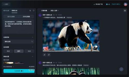 国产视频第一在线