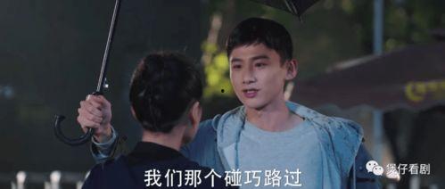 丧命国产电视剧在线观看,国产电视剧在线观看之生死较量